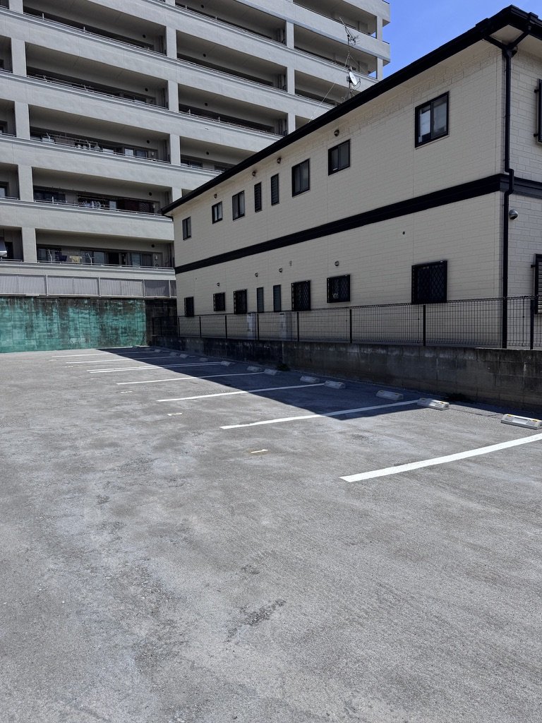白線で区画された駐車場の様子